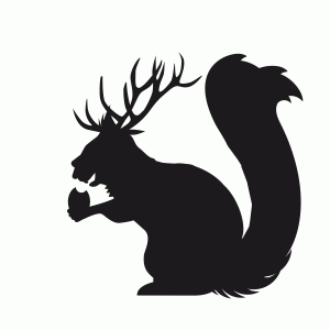 Hirschhörnchen