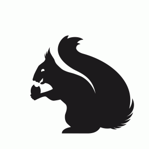 Eichhörnchen